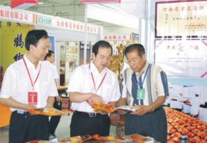 原安陽市市長董永安、副市長陳明今到公司調(diào)研